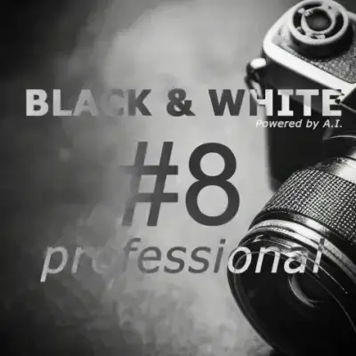 Иконка Franzis BLACK & WHITE Pro 8.25.04078 Portable by Spirit Summer [Multi]