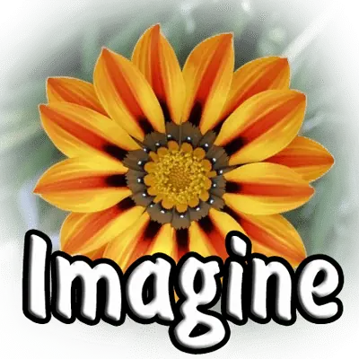 Иконка Imagine 1.1.4 + Portable + Plugins [Multi Ru]