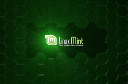 Иконка Linux Mint