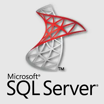 Иконка Microsoft SQL Server 2019 15.0.2000.5 [En]