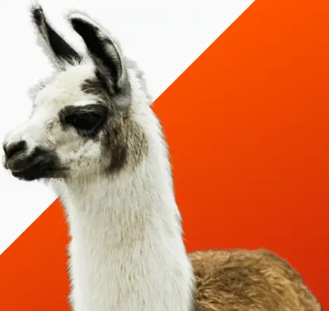 Иконка Winamp 5.8 Build 3660 Beta + Essentials plugins (2018) PC