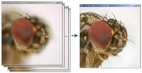 Иконка Zerene Stacker v1.04 Build T201711041830 Final [2018, Eng]