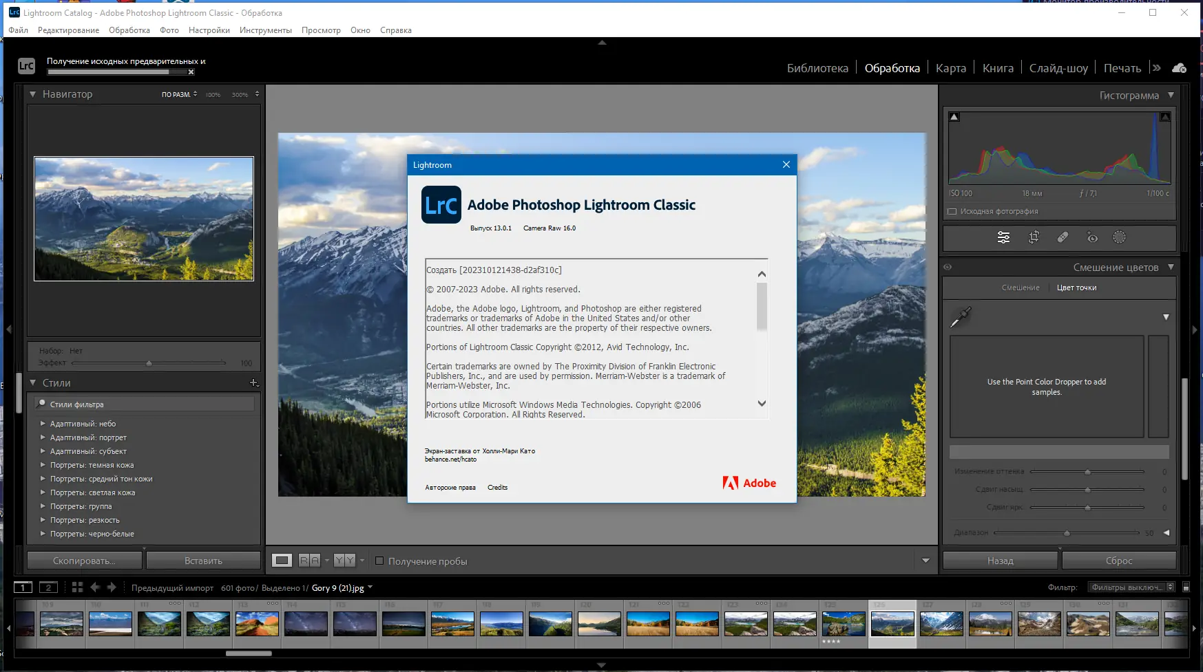 Инсталляция и активация