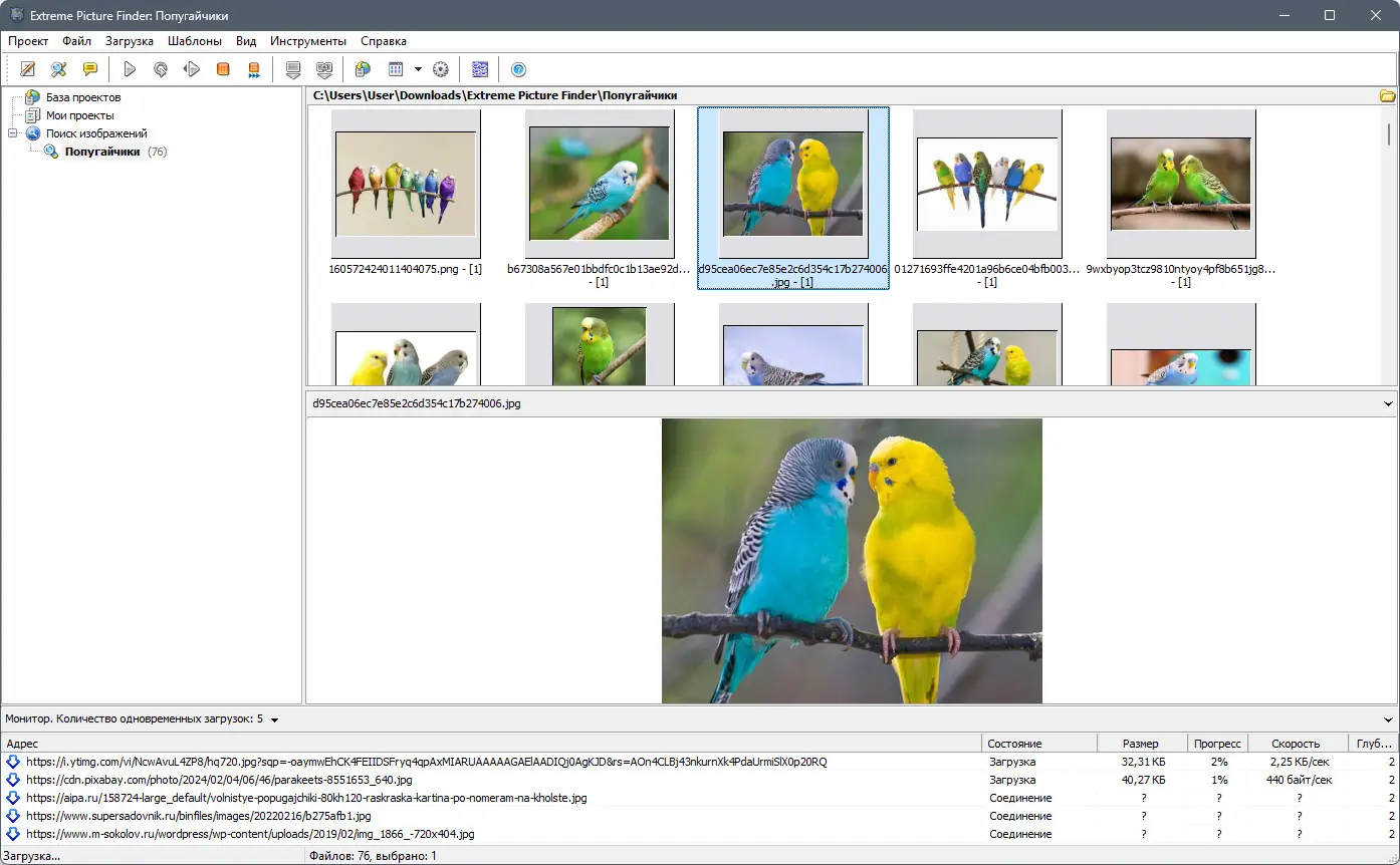 Работа с приложением