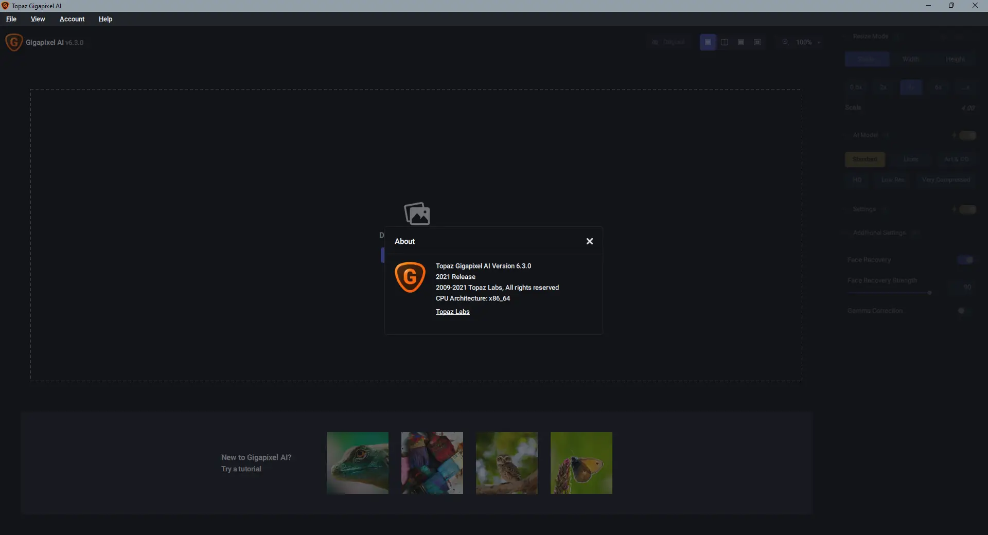 Работа с приложением